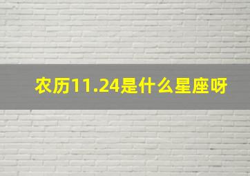 农历11.24是什么星座呀