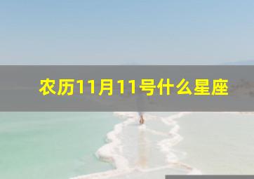 农历11月11号什么星座