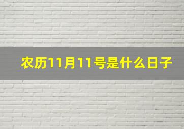 农历11月11号是什么日子