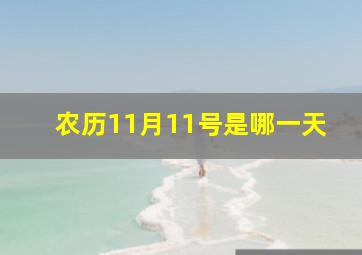 农历11月11号是哪一天