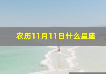 农历11月11日什么星座