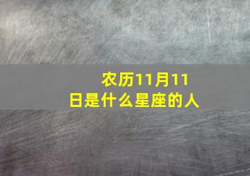 农历11月11日是什么星座的人