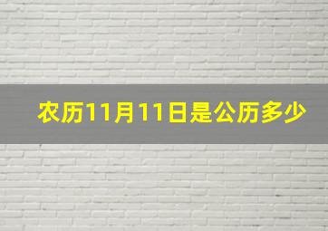 农历11月11日是公历多少