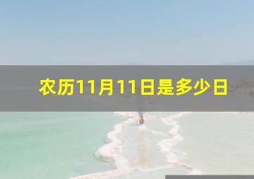 农历11月11日是多少日