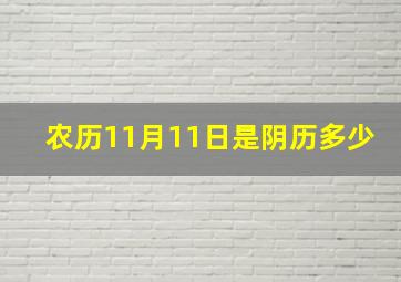 农历11月11日是阴历多少