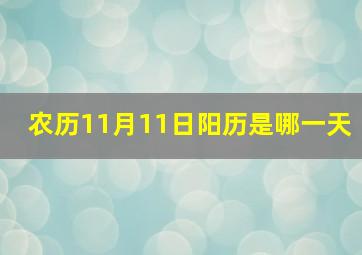 农历11月11日阳历是哪一天