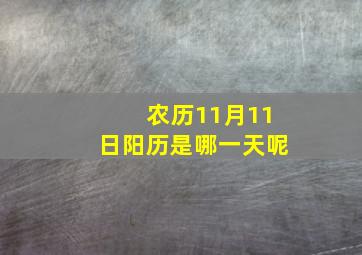 农历11月11日阳历是哪一天呢