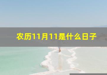 农历11月11是什么日子