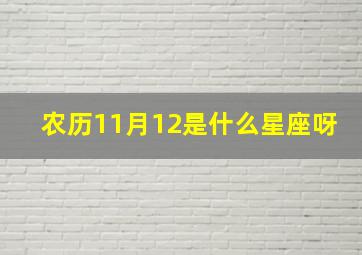 农历11月12是什么星座呀