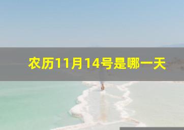 农历11月14号是哪一天