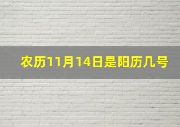 农历11月14日是阳历几号