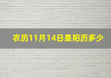 农历11月14日是阳历多少