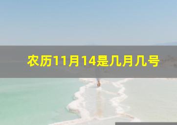 农历11月14是几月几号