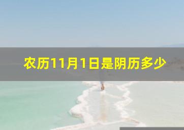 农历11月1日是阴历多少