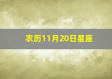 农历11月20日星座