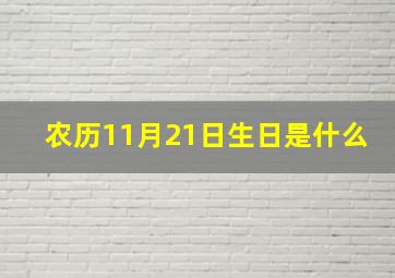 农历11月21日生日是什么