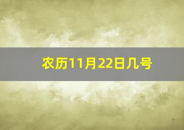 农历11月22日几号