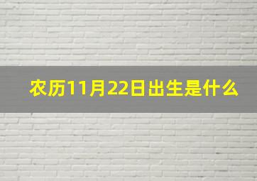 农历11月22日出生是什么