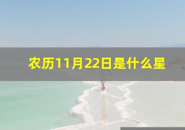 农历11月22日是什么星