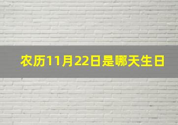 农历11月22日是哪天生日