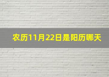 农历11月22日是阳历哪天