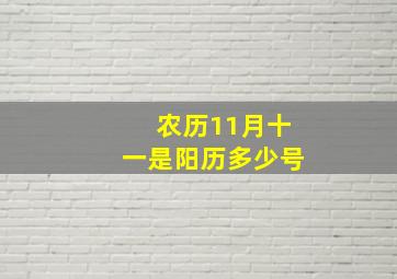 农历11月十一是阳历多少号