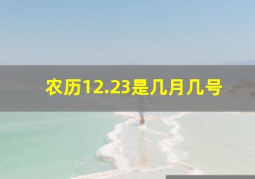 农历12.23是几月几号