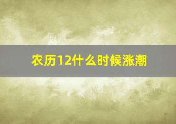 农历12什么时候涨潮