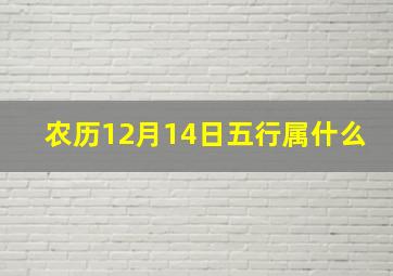 农历12月14日五行属什么