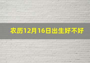 农历12月16日出生好不好