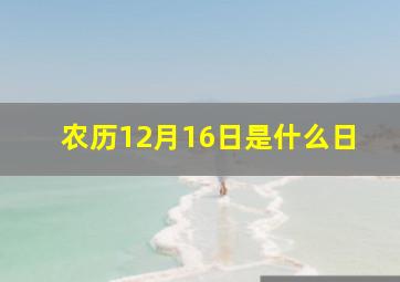 农历12月16日是什么日