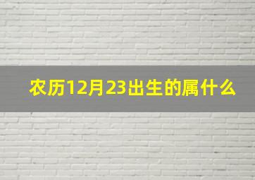 农历12月23出生的属什么