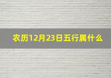 农历12月23日五行属什么