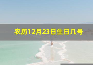 农历12月23日生日几号