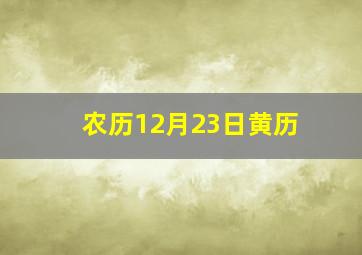 农历12月23日黄历