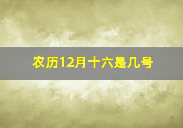 农历12月十六是几号