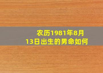 农历1981年8月13日出生的男命如何