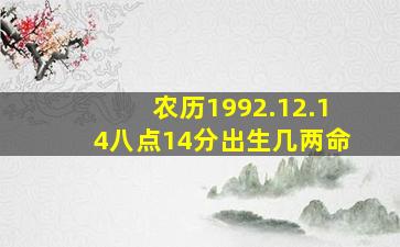 农历1992.12.14八点14分出生几两命