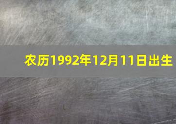 农历1992年12月11日出生