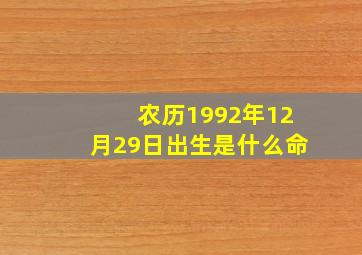 农历1992年12月29日出生是什么命