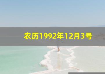 农历1992年12月3号