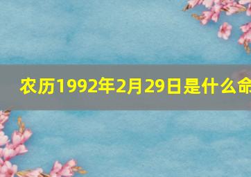 农历1992年2月29日是什么命