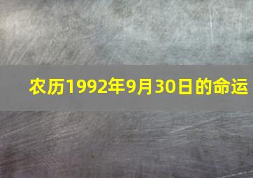 农历1992年9月30日的命运