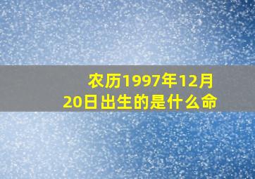 农历1997年12月20日出生的是什么命