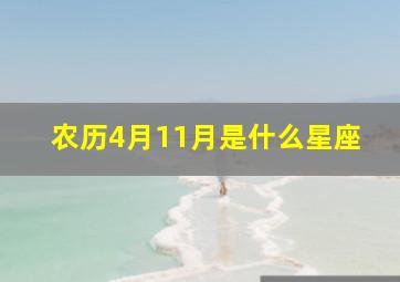 农历4月11月是什么星座