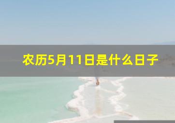 农历5月11日是什么日子