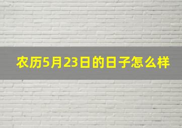 农历5月23日的日子怎么样