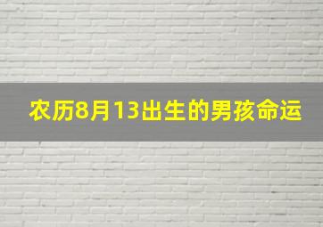 农历8月13出生的男孩命运