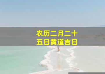 农历二月二十五日黄道吉日