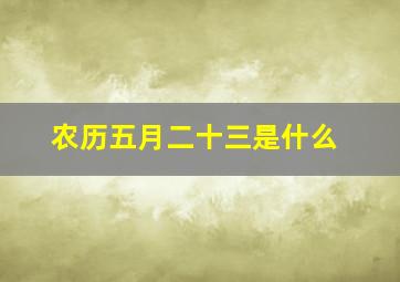 农历五月二十三是什么